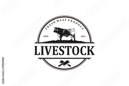 Speckle park cow farm best meat shop logo. cow farm logo design. angus logo design. meat shop identity.