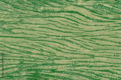 textura verde com ondulações