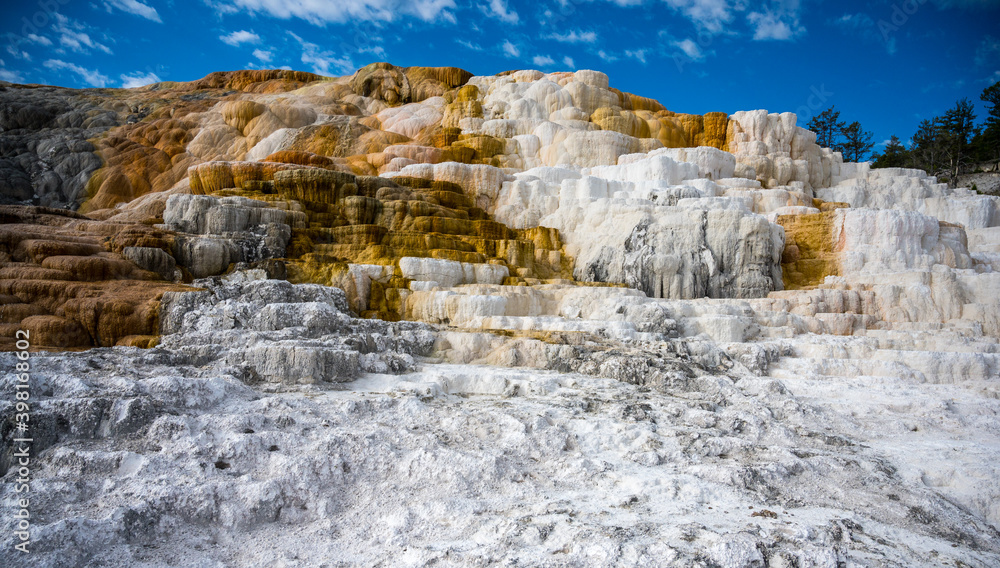 Palette Spring in Mammoth Hot Springs in Yellowstone National Park