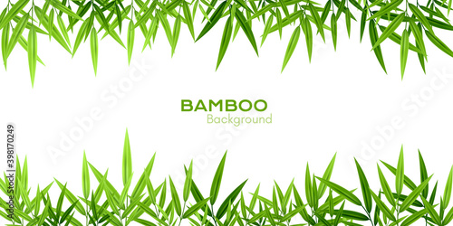 Bamboo decoration. Background with leaves borders. © IlayaStudio