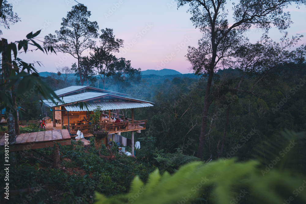 House in the evening forest in asia