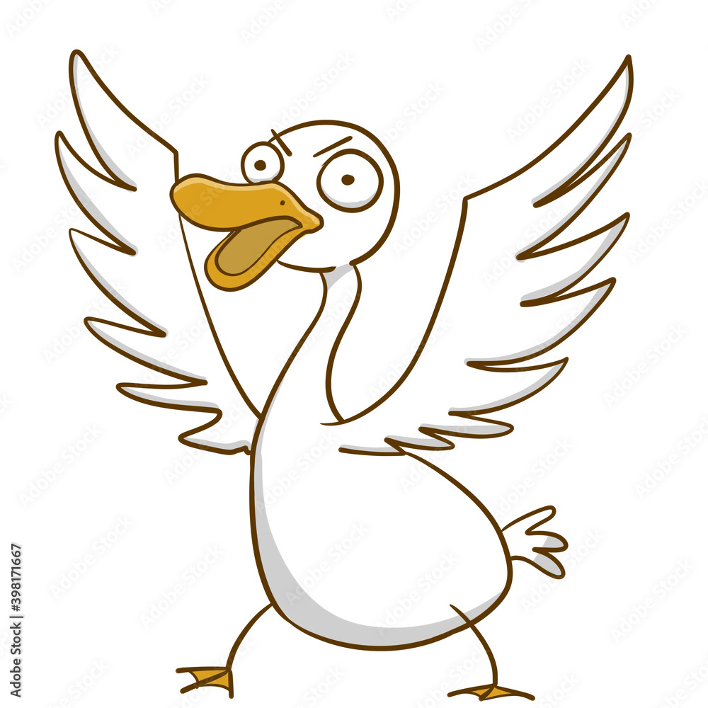 Fototapeta premium Duck