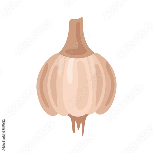fresh garlic vegetable healthy food icon
