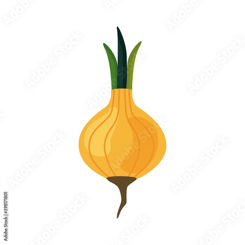 fresh onion vegetable healthy food icon