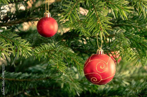 Red Christmas tree decoration with green branches in the background. 