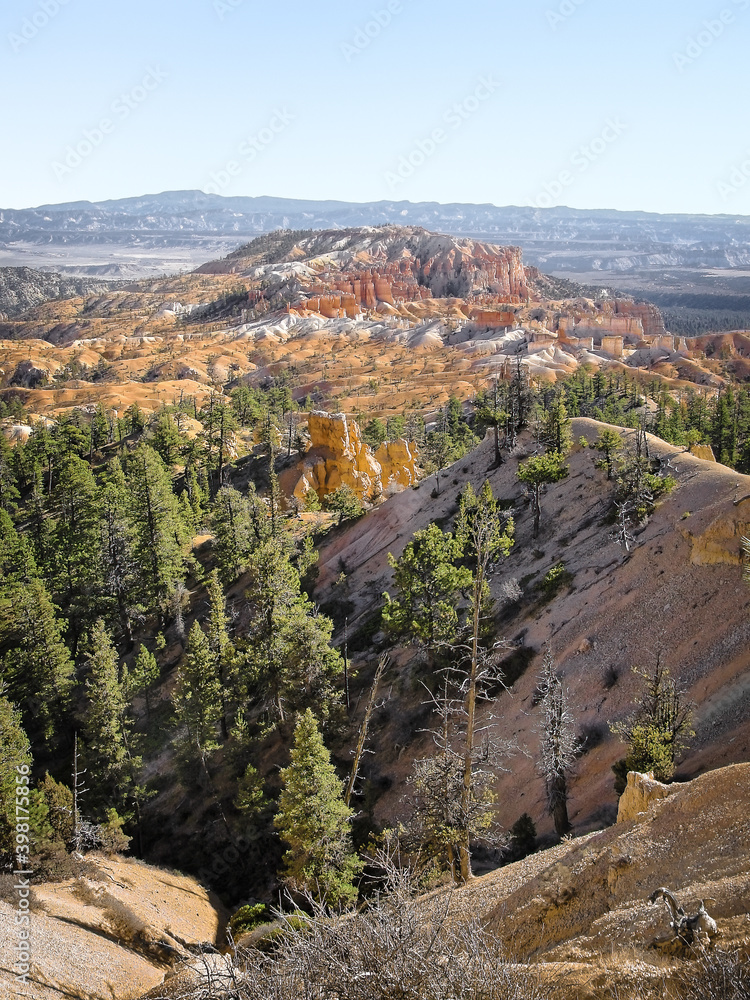 Late autumn in Bryce Canyon, Wasatch Mountains, south central Utah Late autumn in Bryce Canyon, Wasatch Mountains, south central Utah
