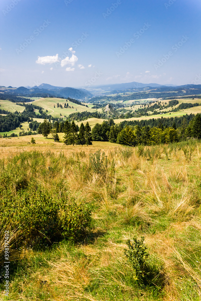 Summer in Pieniny Mountains. View from Rozdziela Pass on nature reserve Summer in Pieniny Mountains. View from Rozdziela Pass on nature reserve