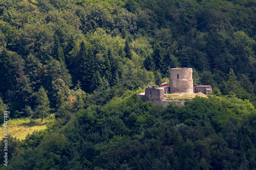 Castle Ruins in Beskid Mountains. Rytro, Poland, 463 masl.
