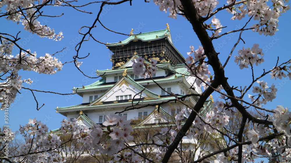 japanese castle in spring with cherry blossom japanese castle in spring with cherry blossom