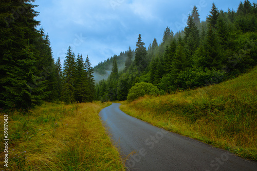 The road through nature with the mist rising above the firs