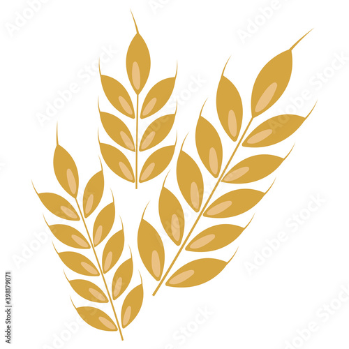 Ears of wheat isolated on white background. Vector illustration.