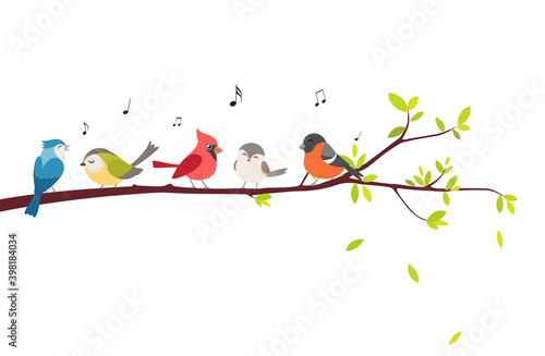 colorful Birds sitting on beautiful trees isolated on white background