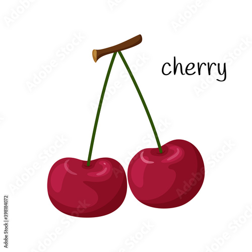 Two cherries on a twig. Fruit, berry icon. Flat design. Color vector illustration isolated on a white background