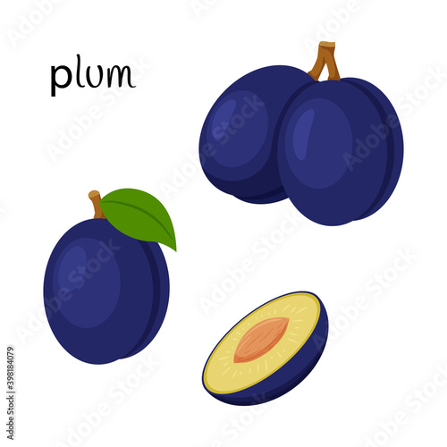 A whole plum with a twig and leaf and a cut half with a seed. Fruit icon. Flat design. Color vector illustration isolated on a white background