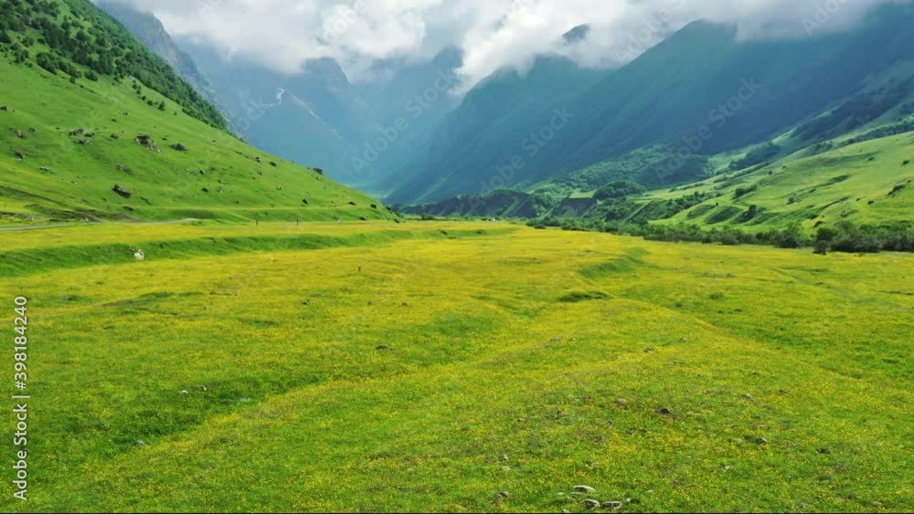 View of wildflower meadow and Caucasus mountains, 4k View of wildflower meadow and Caucasus mountains, 4k