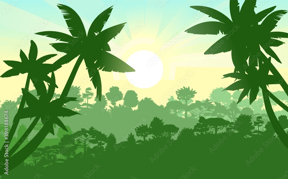 Palm trees. Jungle silhouette. Rainforest. Panoramic landscape. The morning sun is on the horizon. Dense rainforest with exotic trees. Vector