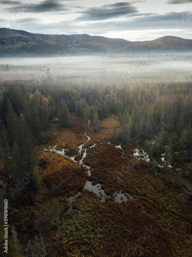 Foggy forest landscape. Mis...