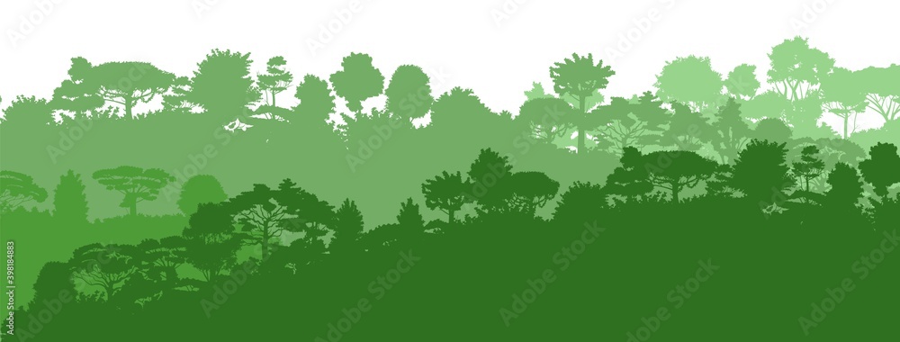 Deciduous forest. Silhouette. Mature, spreading trees. Thick thickets. Hills overgrown with plants. Isolated on a white background. Vector Deciduous forest. Silhouette. Mature, spreading trees. Thick thickets. Hills overgrown with plants. Isolated on a white background. Vector