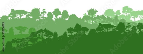 Deciduous forest. Silhouette. Mature, spreading trees. Thick thickets. Hills overgrown with plants. Isolated on a white background. Vector