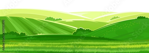 Rural hills. Scenery. Vector. Pasture grass for cows and a place for a vegetable garden and farm. Meadows and trees. Horizon. Beautiful view. Summer.