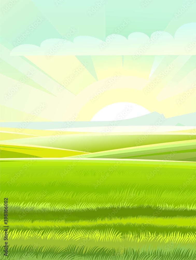 Hills and meadows. Haymaking pastures. Agricultural farm land. Green grass. Grassland for farming. Beautiful countryside landscape. Vector