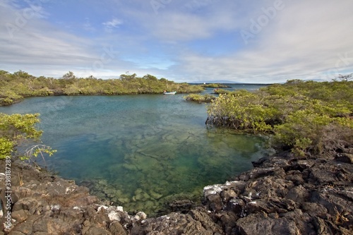 Punta Moreno. Isabela Island. Galapagos Islands. Ecuador. South America.