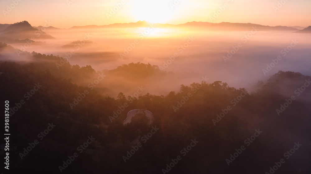 The sunrise and the fog in the forest The sunrise and the fog in the forest
