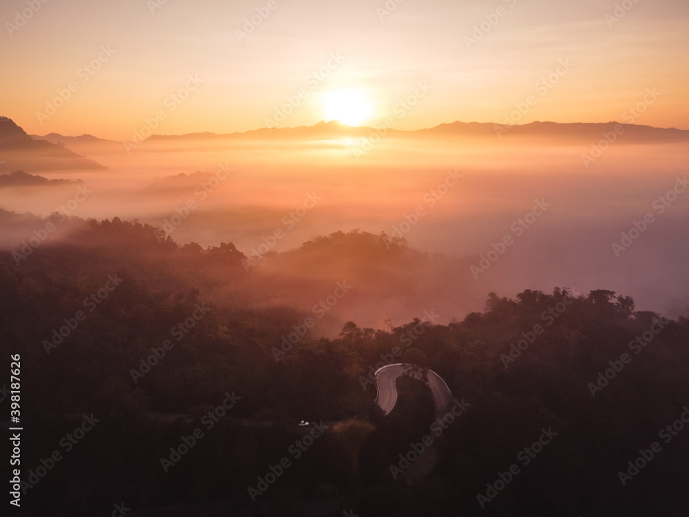 The sunrise and the fog in the forest