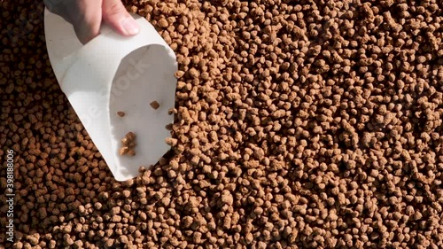 Adjusting the oxygen value for the coop.