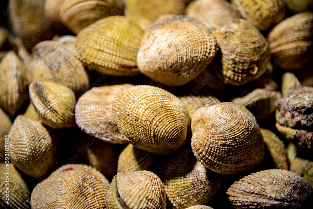 seafood seafood