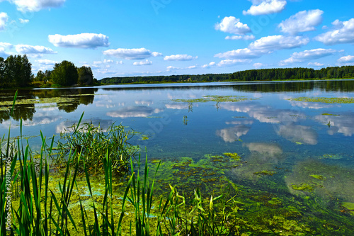 lake in summer