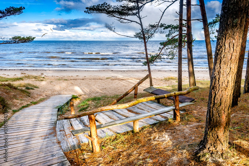 Resting place among pine forest near a beach of the Baltic Sea in in National...