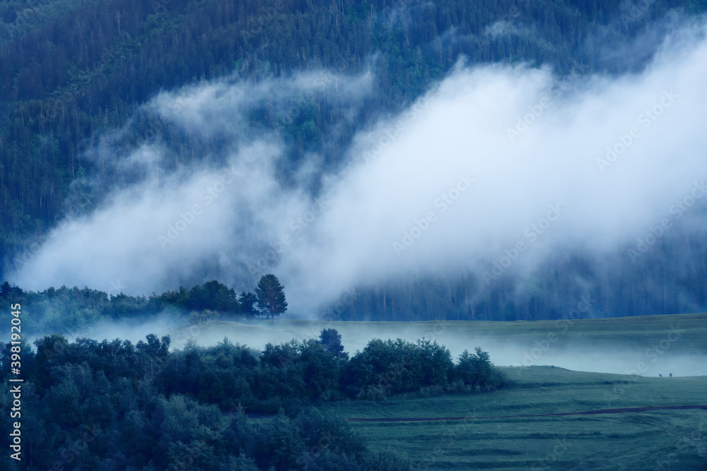 Mist over trees in forest in Tusheti Nature park, Georgia. Mist over trees in forest in Tusheti Nature park, Georgia.