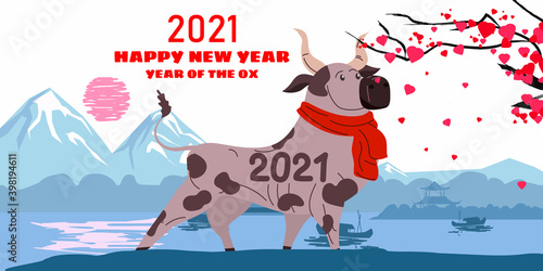 Happy Chinese 2021 new year greeting card. Year of the ox. Cute bull with red scarf on background chinese asian landscape blooming tree flowers, Chinese zodiac symbol traditional holidays cartoon