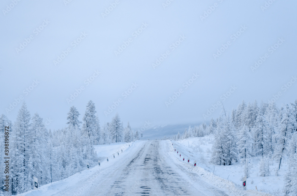 Snowy forest in the Republic of Sakha, Kolyma tract, the Russian North Snowy forest in the Republic of Sakha, Kolyma tract, the Russian North