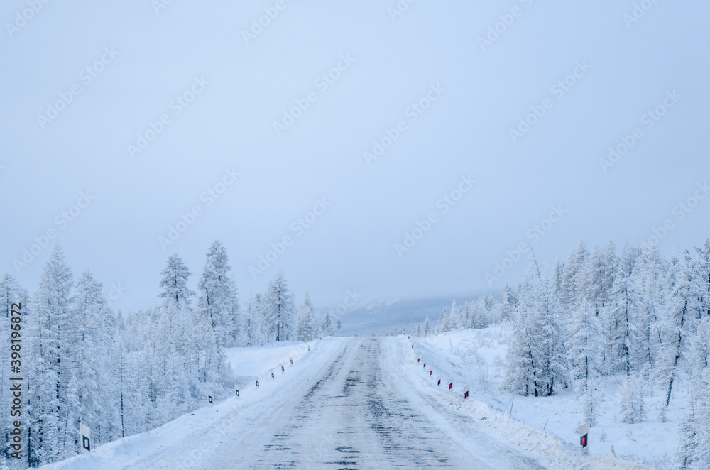 Snowy forest in the Republic of Sakha, Kolyma tract, the Russian North