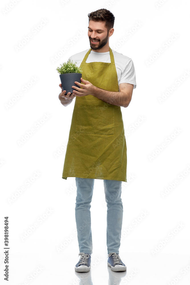 gardening, floristry and people concept - happy smiling male gardener in apron with flower in pot over white background gardening, floristry and people concept - happy smiling male gardener in apron with flower in pot over white background