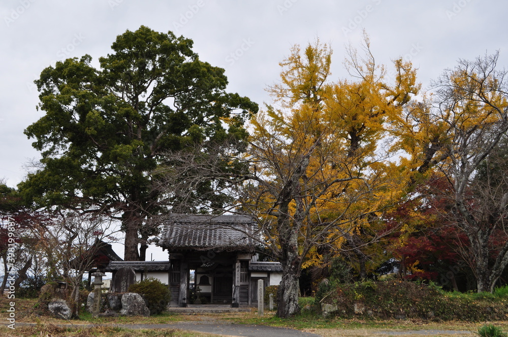 史跡 国分寺跡 史跡 国分寺跡