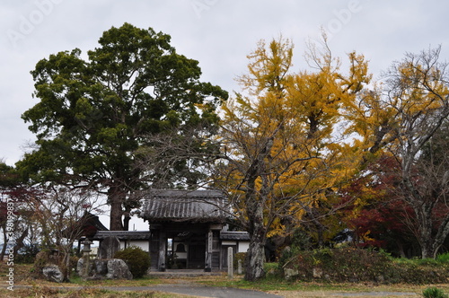 史跡　国分寺跡