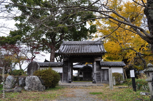 史跡　国分寺跡