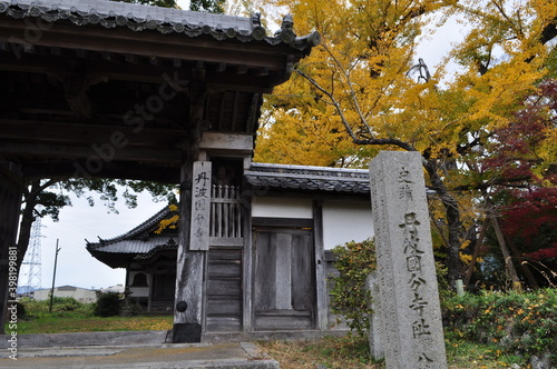 史跡　国分寺跡