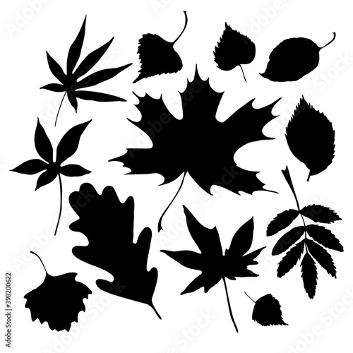 Autumn leaves silhouette set isolated on white background