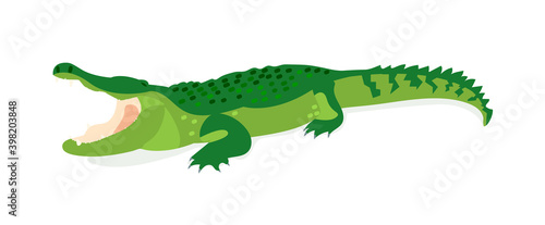 Crocodile with open mouth on a white background. Vector illustration of a dangerous alligator.