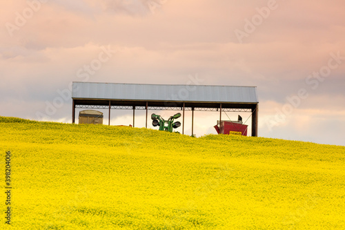 Farming shed in canola field