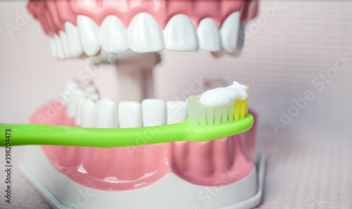 Green toothbrush with white 
toothpaste brushing teeth on teeth model.Dental care 