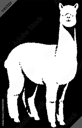 black and white linear paint draw lama vector illustration art