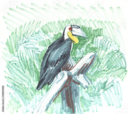 toucan bird perched on branch, green background clip art preview
