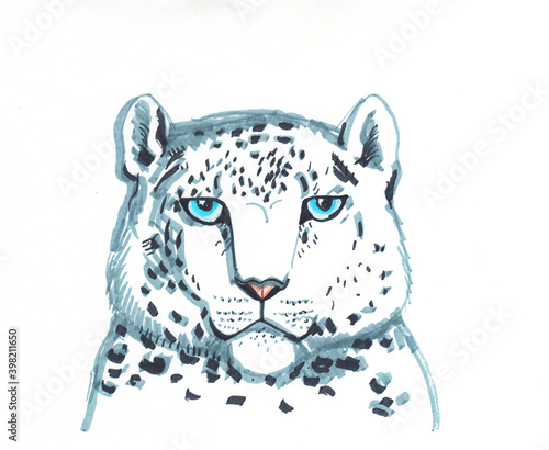 Photography snow leopard ounce, is a large cat native to the mountain ranges of Central and South Asia ranging from eastern Afghanistan to Mongolia and western China