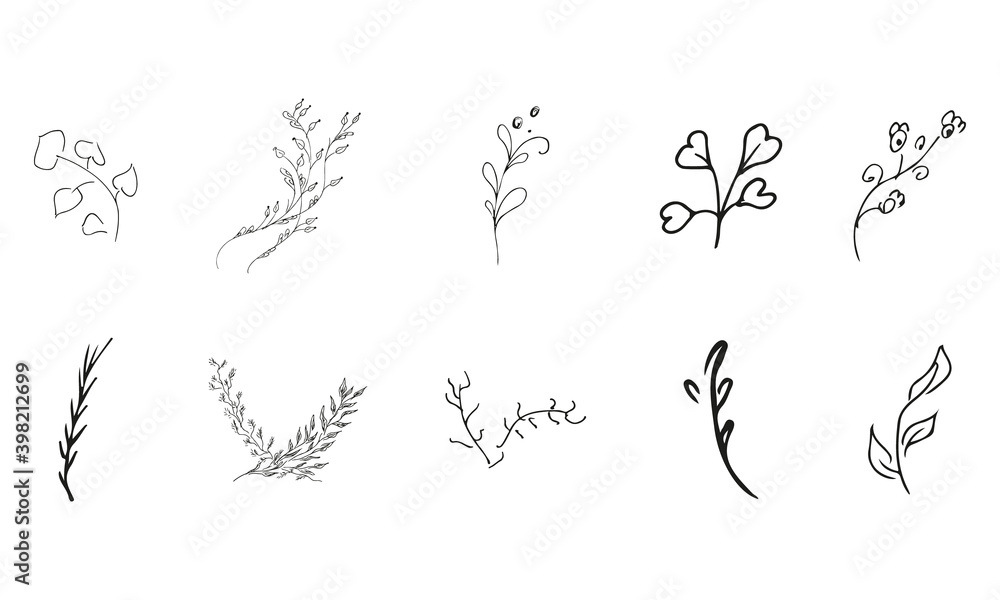Doodle simple vector collection of 10 hand-drawn floral elements. Big collection of 10 hand-drawn branches. Big floral botanical set. Isolated on white background.
