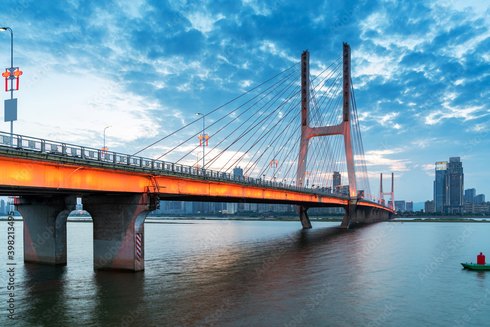 Naklejka premium Modern bridge in the city at night